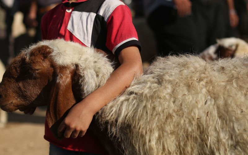 kurban bajram