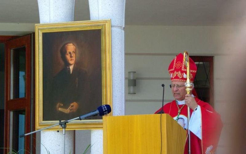 s_grozde_in_skof.jpg