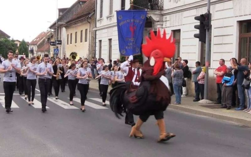_zcvicek.jpg