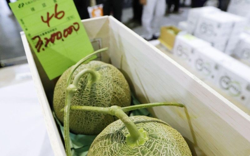yubari, meloni
