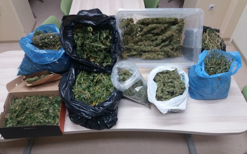 marihuana