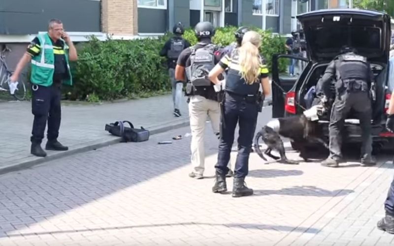 Nizozemska policija, policijski pes.JPG