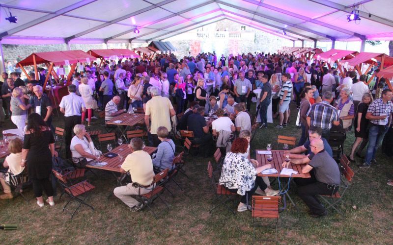 festival_modre_frankinje_sevnica_01.jpg