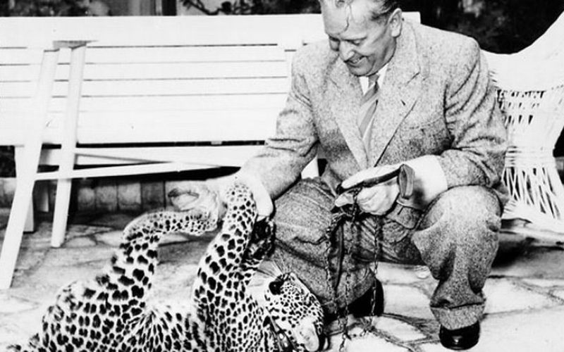 tito leopard