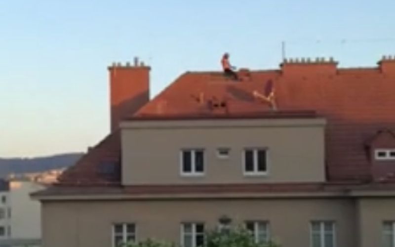 dunaj, streha, opeka