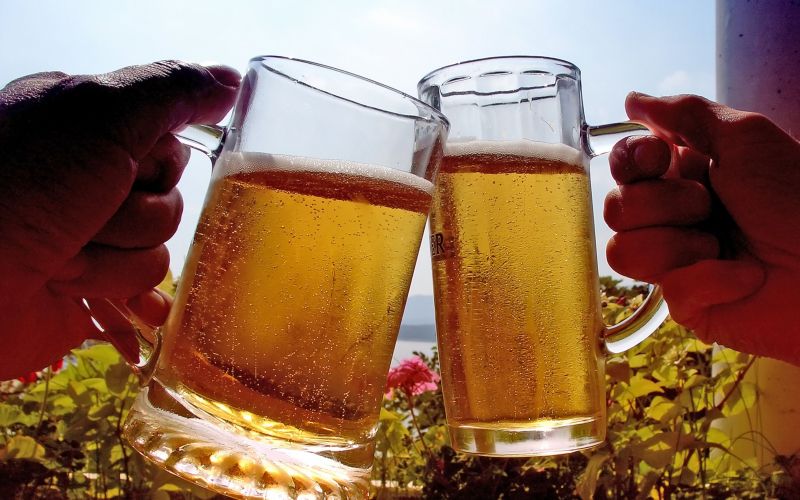 pivo