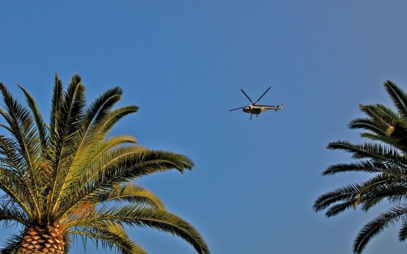 helikopter, palme.jpg
