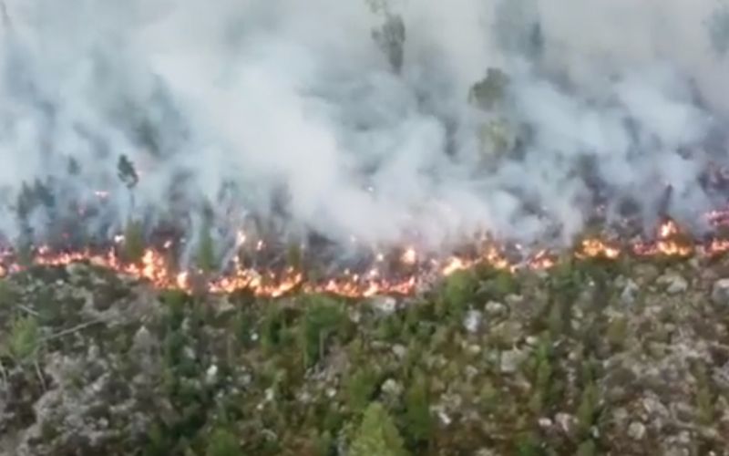 gozdni požar, švedska.png