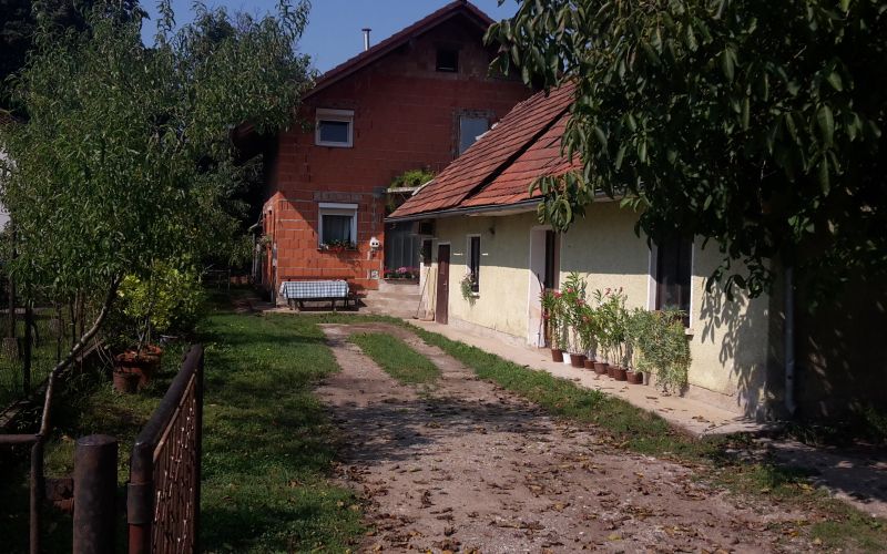 Zlatoličje, dvorišče