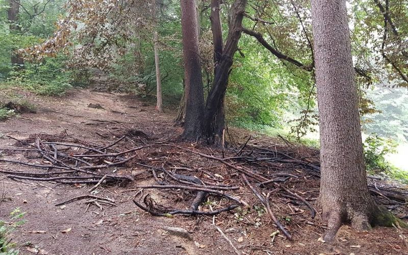 Tivoli, Rožnik, podtaknjen požar.jpg