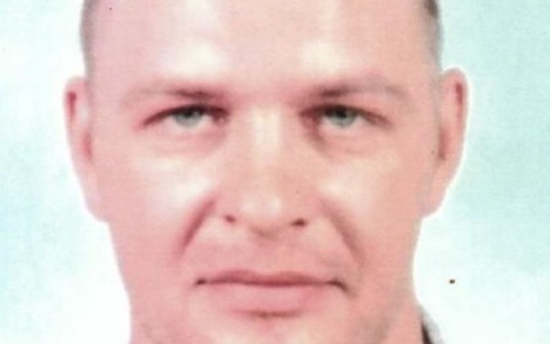 Aleš koban