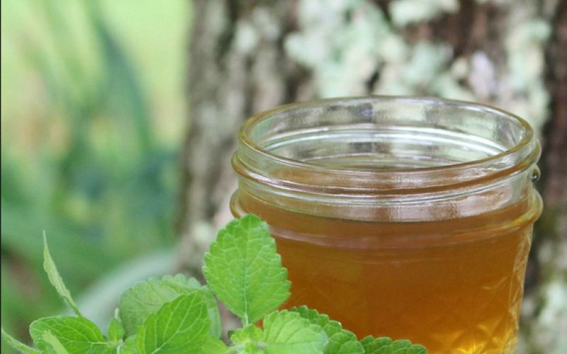 melisin sirup.png