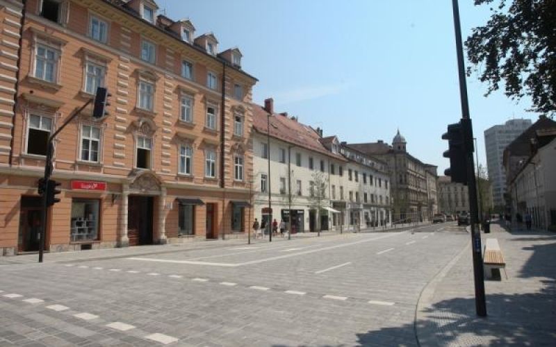 dalmatinova.jpg