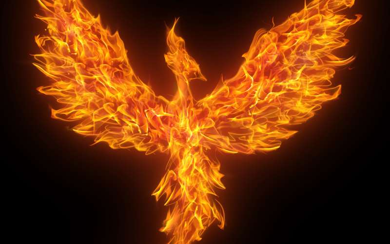 fenix.jpg