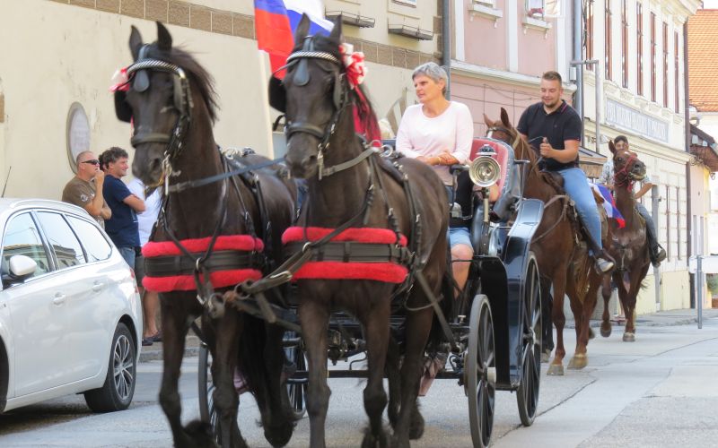 Protesti proti postavitvi migrantskih centrov v Beli krajini..JPG