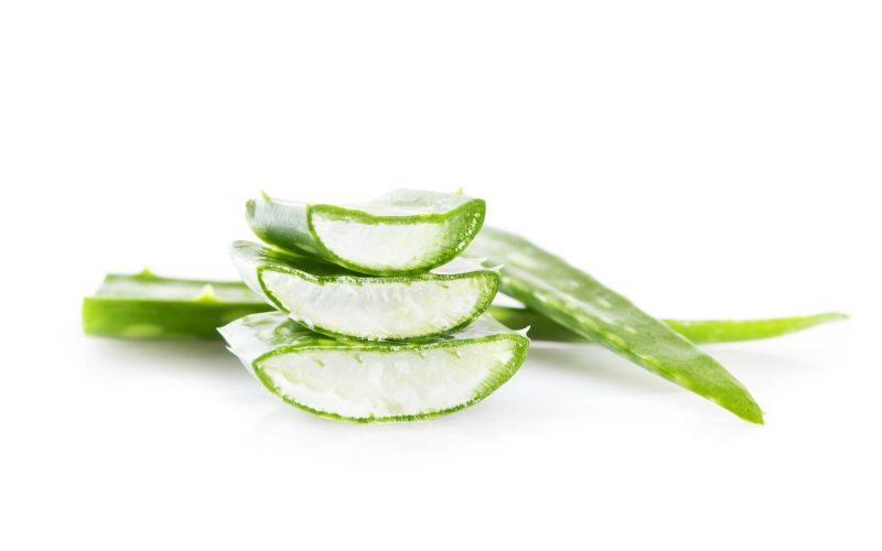 aloe vera prehrana_ThinkstockPhotos-856952670.jpg