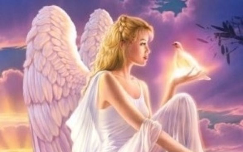 ženska angel.jpg
