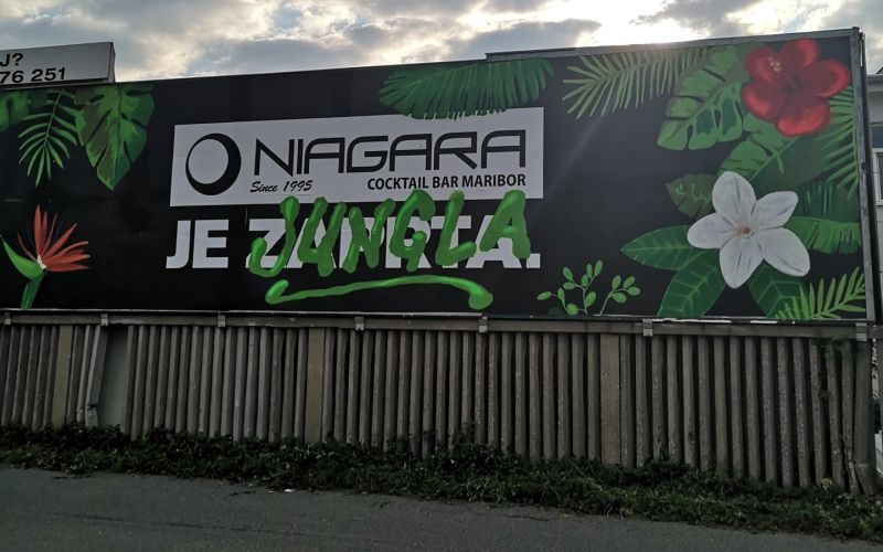 6pack čukur niagara je jungla
