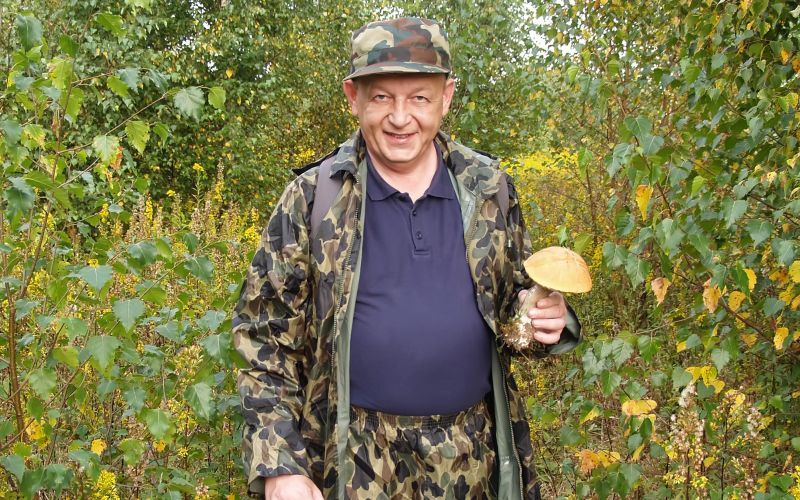 gobe, globe, nabiranje gob