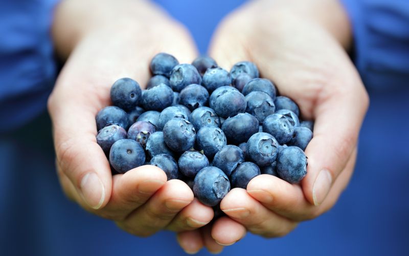tema_LCHF_ThinkstockPhotos-492576367.jpg