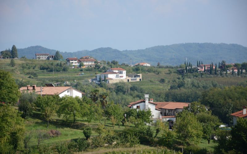 goriška brda.JPG