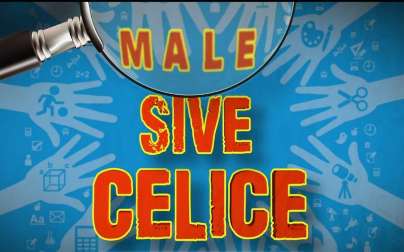 celice1.jpg