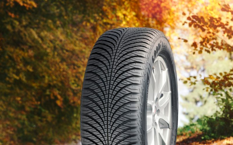 goodyear pnevmatika.png
