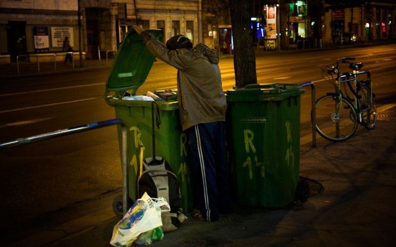 brezdomec_budimpešta.jpg