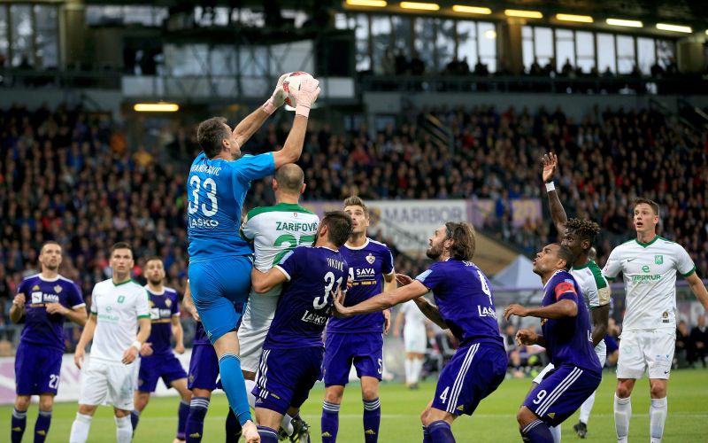 handanovic dw.jpg