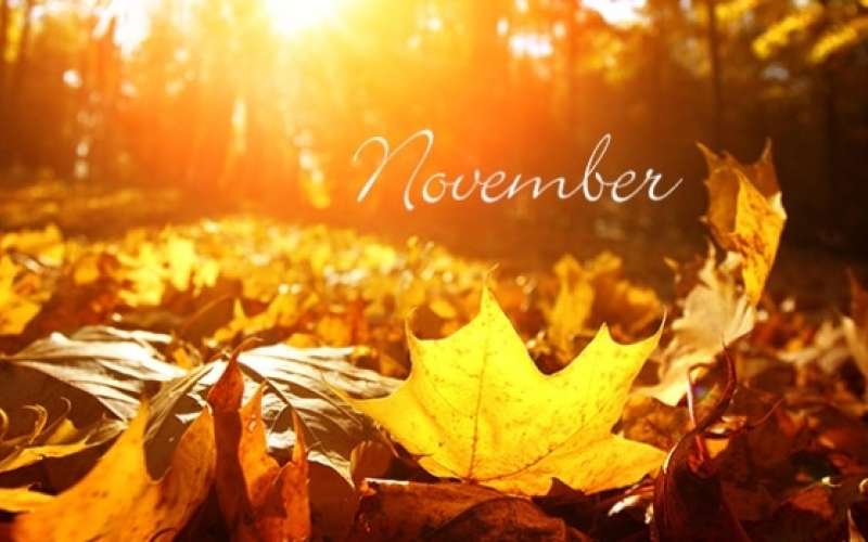 November.jpg