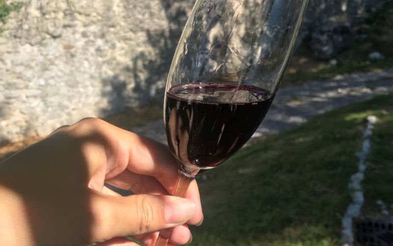 vino.png