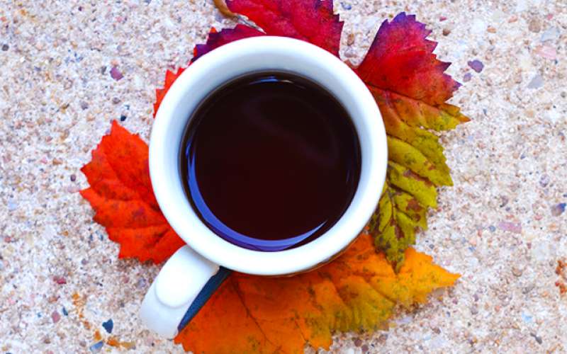 homepumpkinspicecoffeeground.png