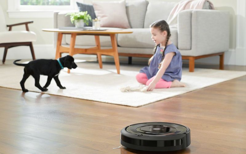 e5_Charcoal_Photo_Lifestyle_LivingRoom_GirlDog.jpg