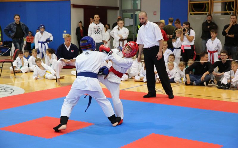 _zzzzkarate__01_.jpg