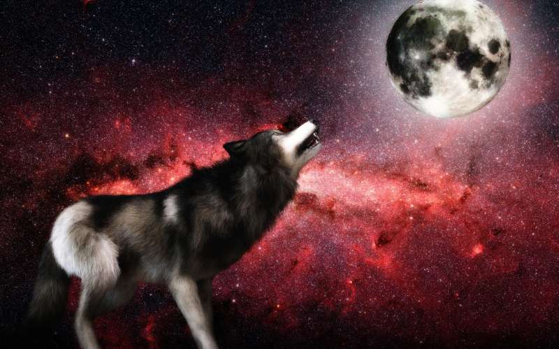 volk, luna