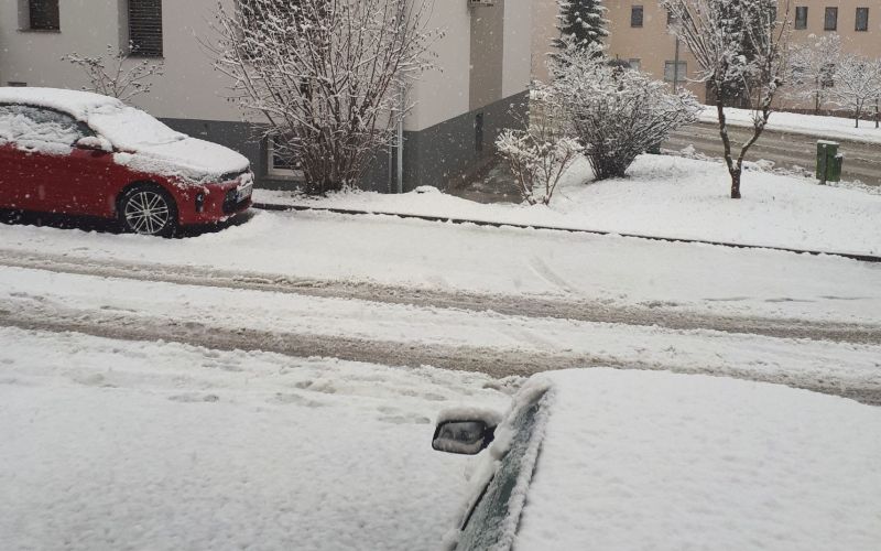 sneg, novo mesto1.jpg