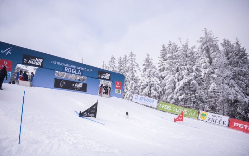 rogla mm.jpg