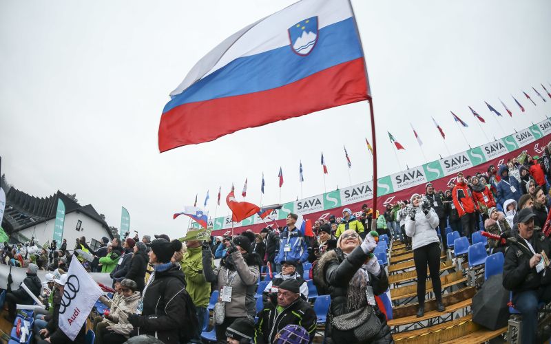 lisica 1 af 2.jpg
