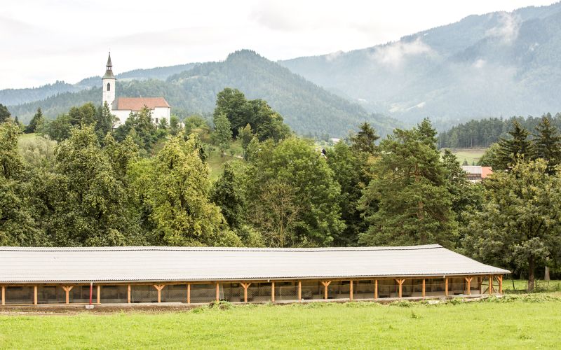 240189_SLATINŠEK_04.jpg