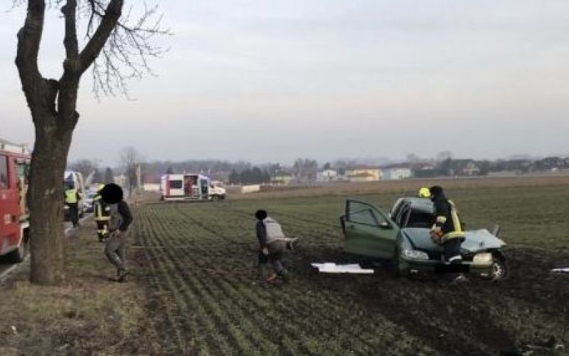 wullersdorf, drevo, prometna nesreča.jpg