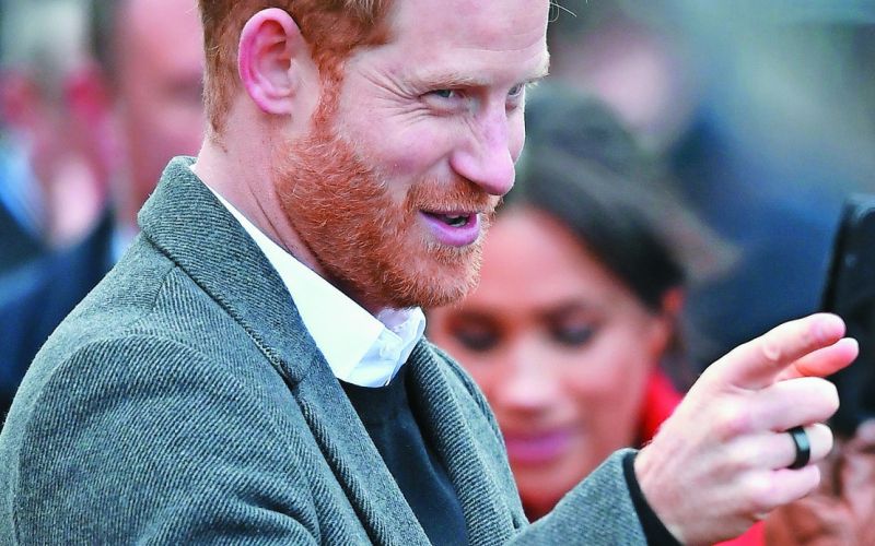 harry.jpg