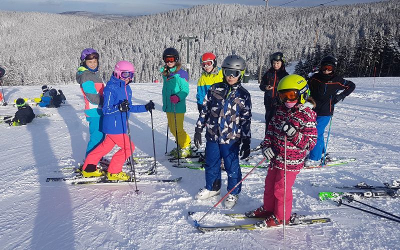 smucanje_rogla.jpg