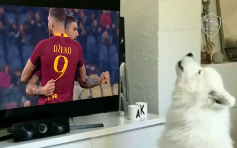 pes roma.jpg