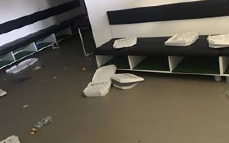 domzale 1.jpg