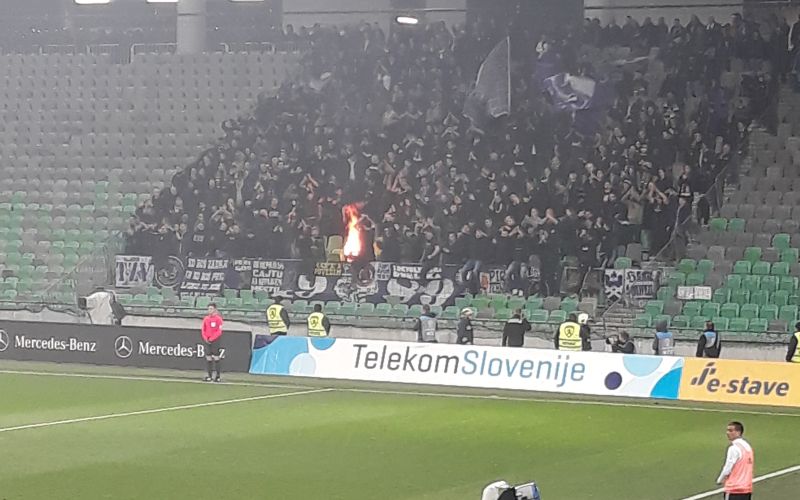 viole.jpg