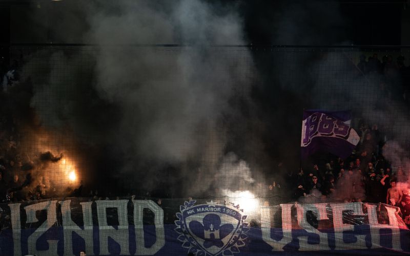 maribor viole mm.jpg