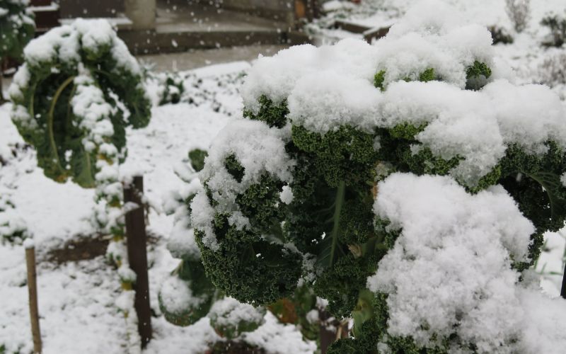 sneg, radlje na koroškem, 18.3.2018 1.jpg