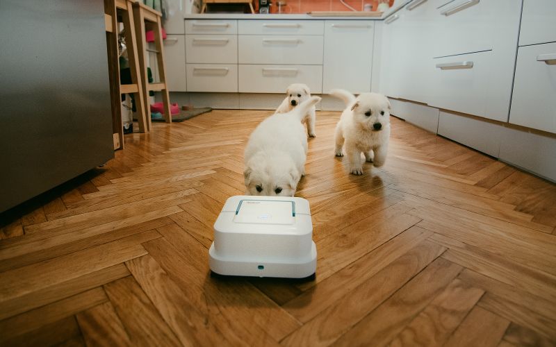 iRobot Braava_foto_Pasja Hisa.jpg