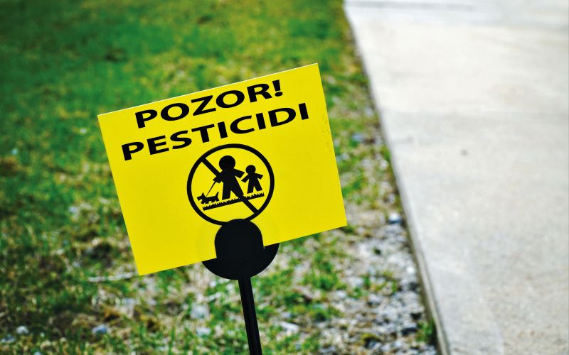 strupi, pesticidi.jpeg