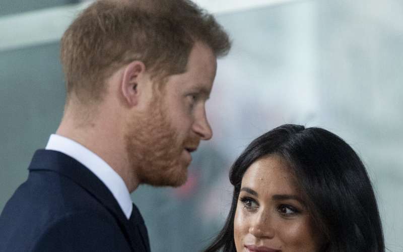 meghan 2 profi.jpg